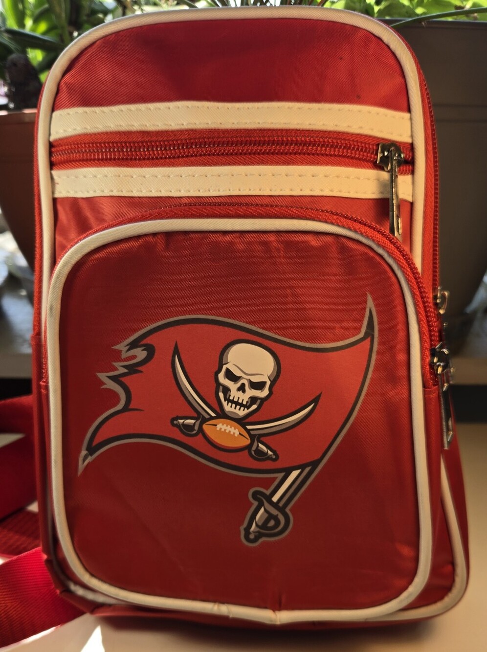 NFL Tampa Bay Buccaneers Mini Backpack